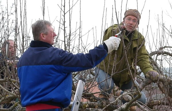 Gartenpflegerkurs startet am 14. März - Kurse sind einmalig in der Oberpfalz - noch Plätze frei